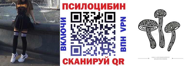 Псилоцибиновые грибы Cubensis  Закаменск 